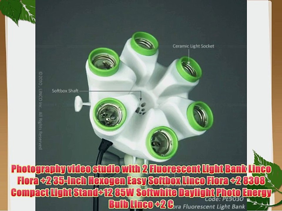 Photography video studio with 2 Fluorescent Light Bank Linco Flora  2 35-Inch Hexogen Easy