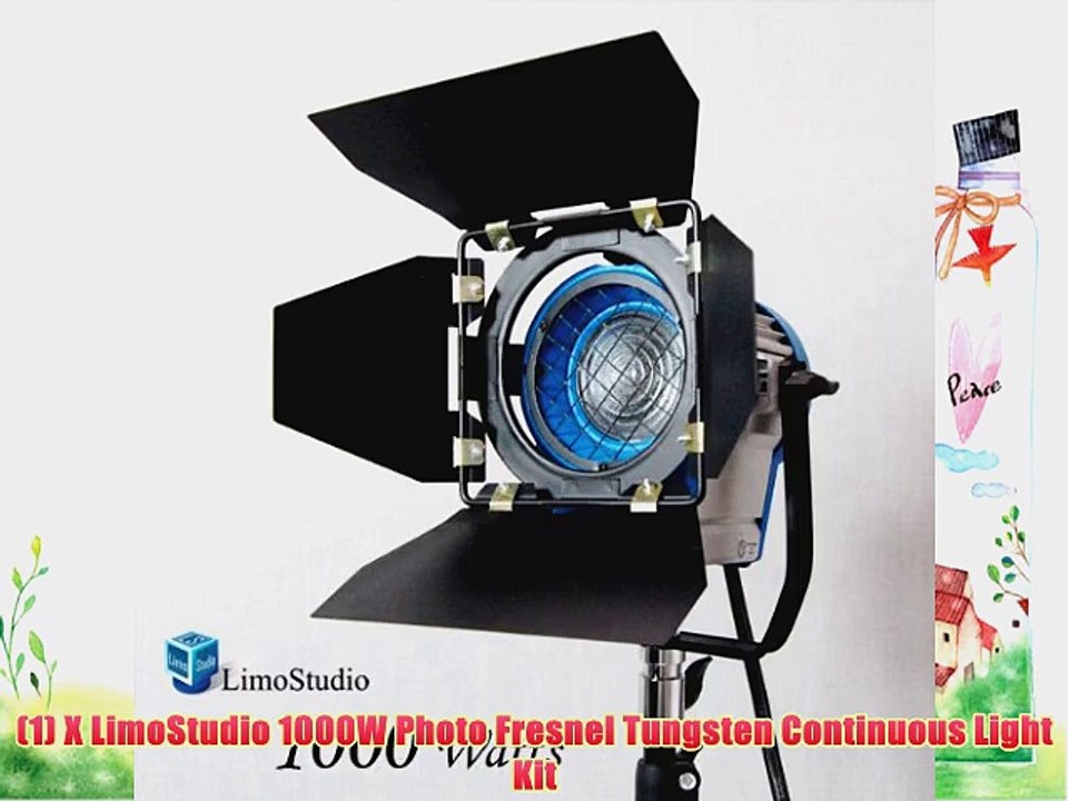 LimoStudio 1000 Watt Photography Photo Video Studio Light Head Film and Television Tungsten