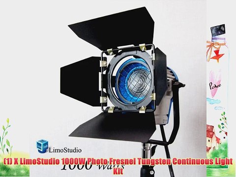 LimoStudio 1000 Watt Photography Photo Video Studio Light Head Film and Television Tungsten