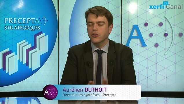 Aurélien Duthoit, Xerfi Canal Comprendre les modèles d'affaires