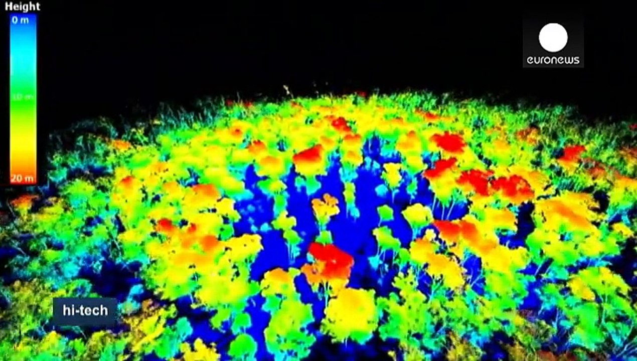 Kohlenstoffspeicher wald unter der laser-lupe