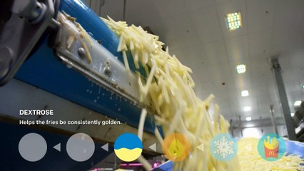 Qu'y a t-il dans les frites du MacDo ? 2/2