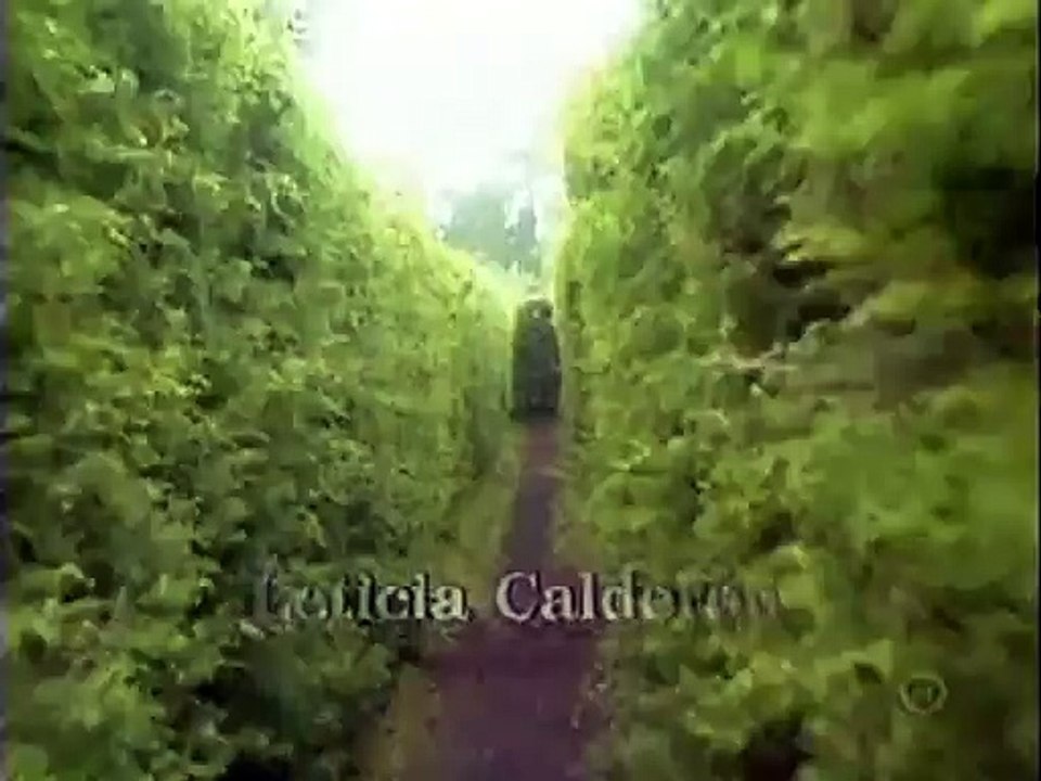 julieta_41