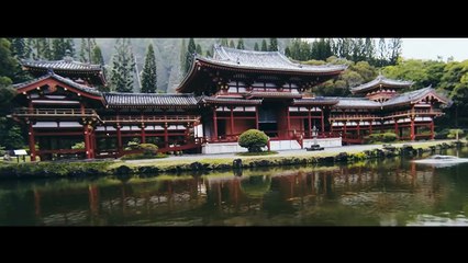 Chris Brown estrena video para "Autumn Leaves"