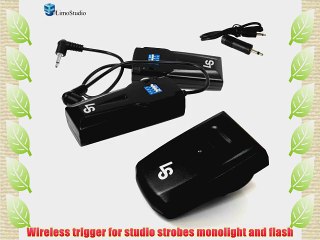 LimoStudio Photostudio Photography 4-Channel Radio Remote Trigger w/ 2 Receiver for Studio