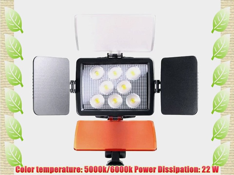 Kaavie - Professional