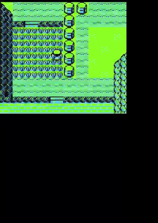 pokémon version jaune 1 ville de argenta