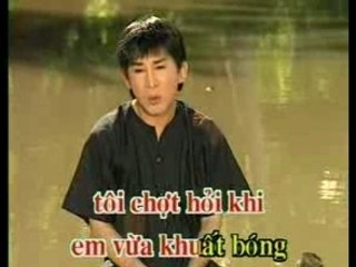 Chim sao ngay xua - Kim tu long