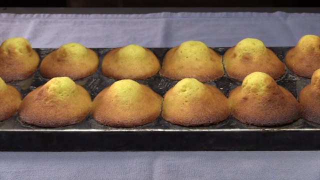 Madeleines au citron et au miel