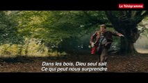 Into the woods, Promenous-nous dans les bois - Bande annonce