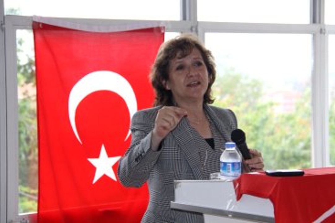 Birgül Ayman Güler, CHP'den İstifa Etti