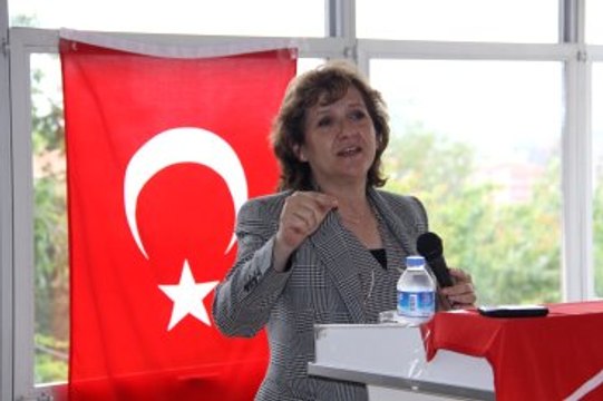 Birgül Ayman Güler, CHP'den İstifa Etti