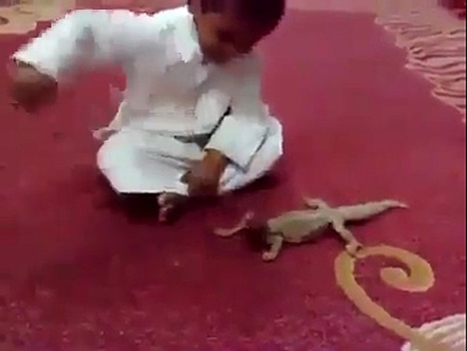 Animals are not toys very funny video clip