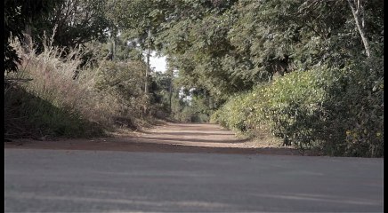 Mata Fechada (Dense Forest) -2014