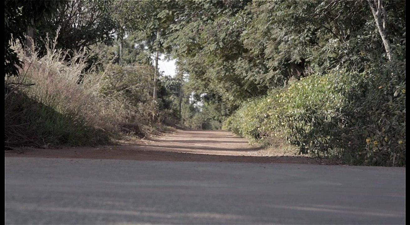 Mata Fechada (Dense Forest) -2014