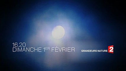 Teaser GRANDEURS NATURE NAISSANCES France2