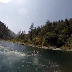 Jordy le labrador plonge au fond d'une rivière