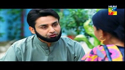 Aik Pal Episode 10 Full  26 January 2015 Hum Tv Drama