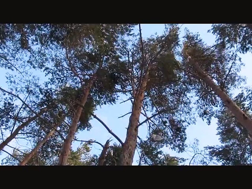 Sortie Raquettes autour de Vernoux en Ardèche le 25 janvier 2015