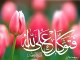 Karbala ka Waqia by Maulana Tariq Jameel Complete - Mukammal bayan - Video Dailymotion
