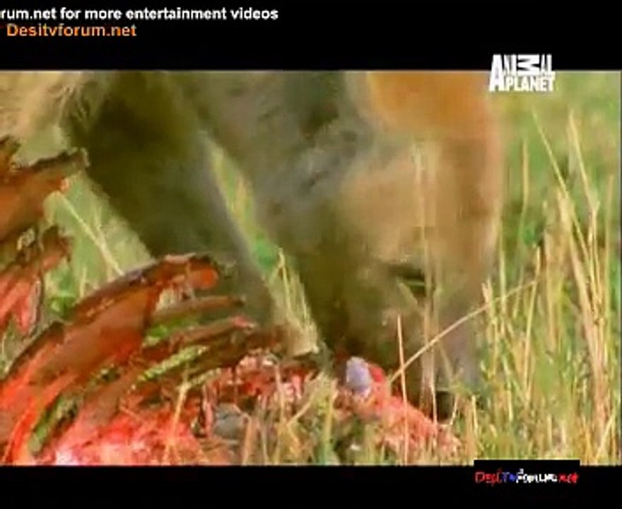 Mahayudh 26th January 2015 Video Watch Online Pt1