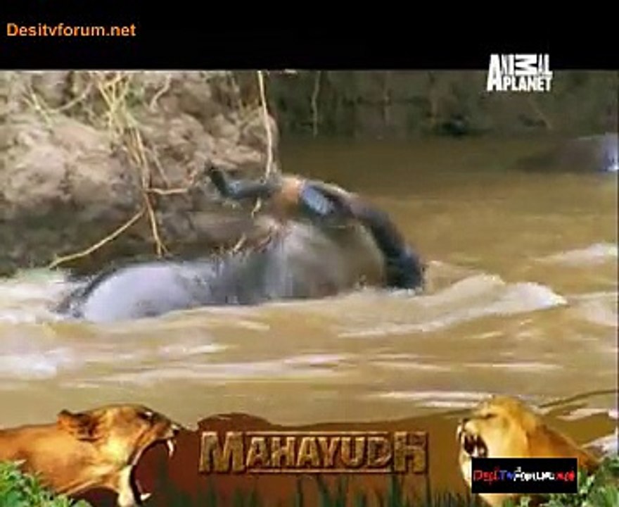 Mahayudh 26th January 2015 Video Watch Online Pt2