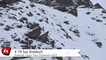 #79-FJT15-Tao Kreibich