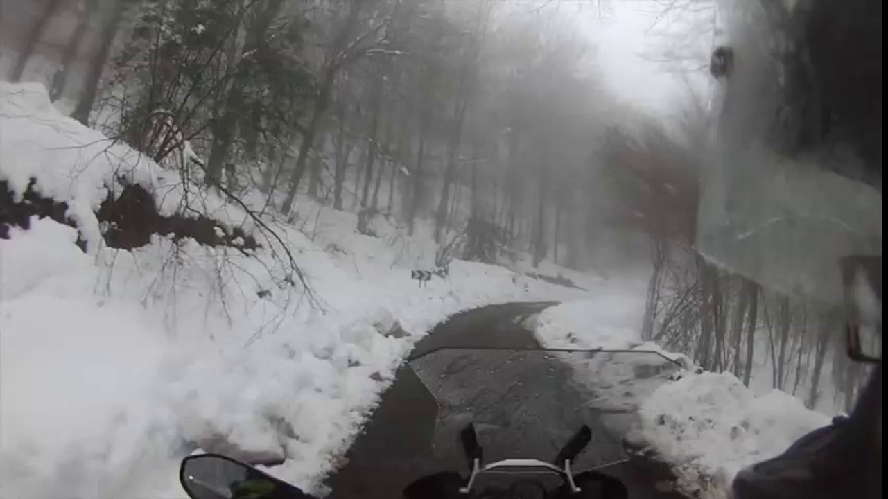 EnBuscaDelFrio