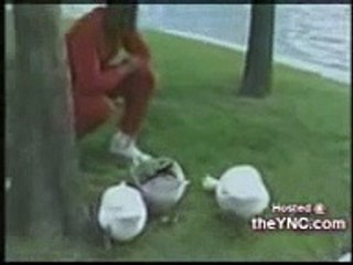 Animals Funny clips 2015 All in one