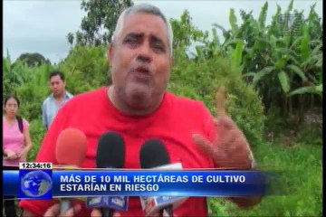 Miles de hectáreas de cultivo amenazadas en provincia de El Oro