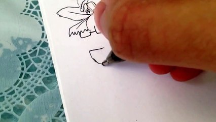 how to draw Pokemons Sealeo