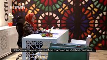 Irán - 1. Feria de mueble de oficina 2. El té 3. Aspectos de Irán: La fortaleza de Susa y Apadana