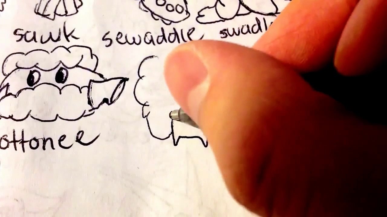 How to draw Pokemons Whimsicott