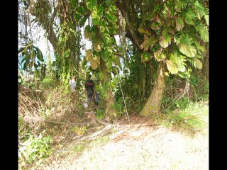 27 Janvier 2014 Départ en Martinique pour aller chercher MAG.