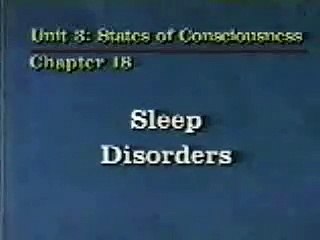 Rusty le chien narcoleptique