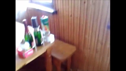 CATS PLOTTING TO KILL US.