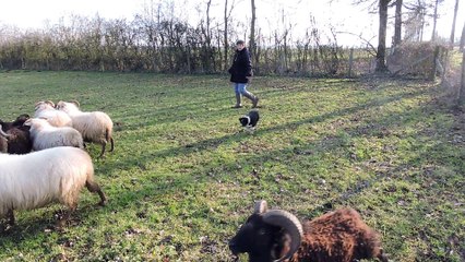 Jude , 2 mois et quelques jours