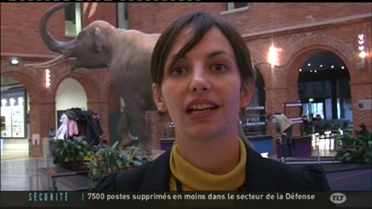 Muséum de Toulouse : Le nombre de visiteurs en hausse