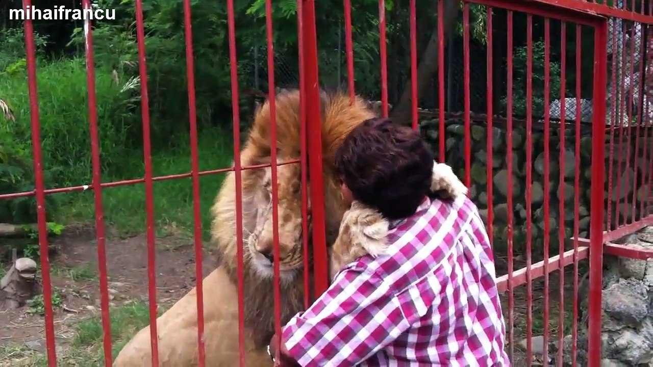 Cute Animal Videos Compilation 2015.