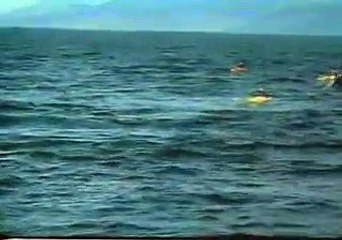 Pub Powerade (Kayak)