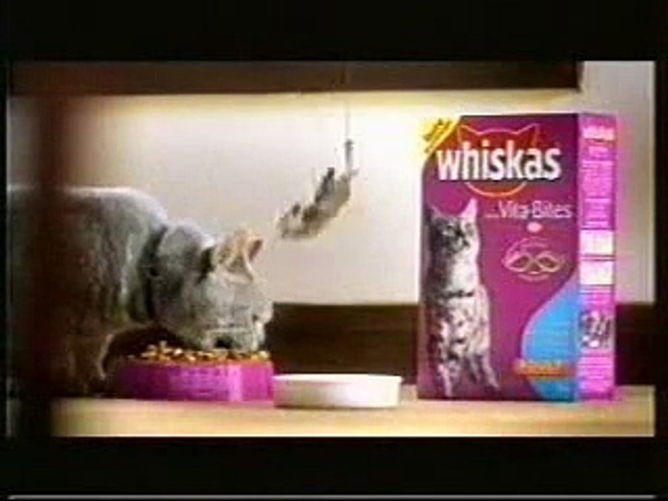 Pub Whiskas (Saut à l'élastique)