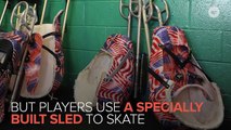Meet The Badass Athletes Of Ottawa's Sled Hockey Team