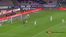 Gonzalo Higuain Goal  Napoli 1 - 0 Genoa Serie A 26-1-2015