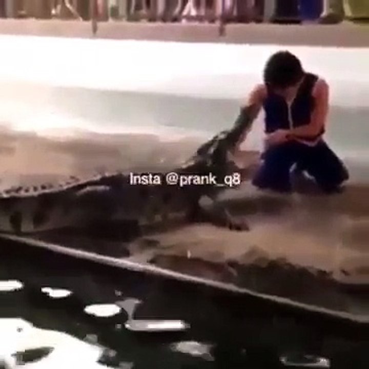 قلبه رهيف