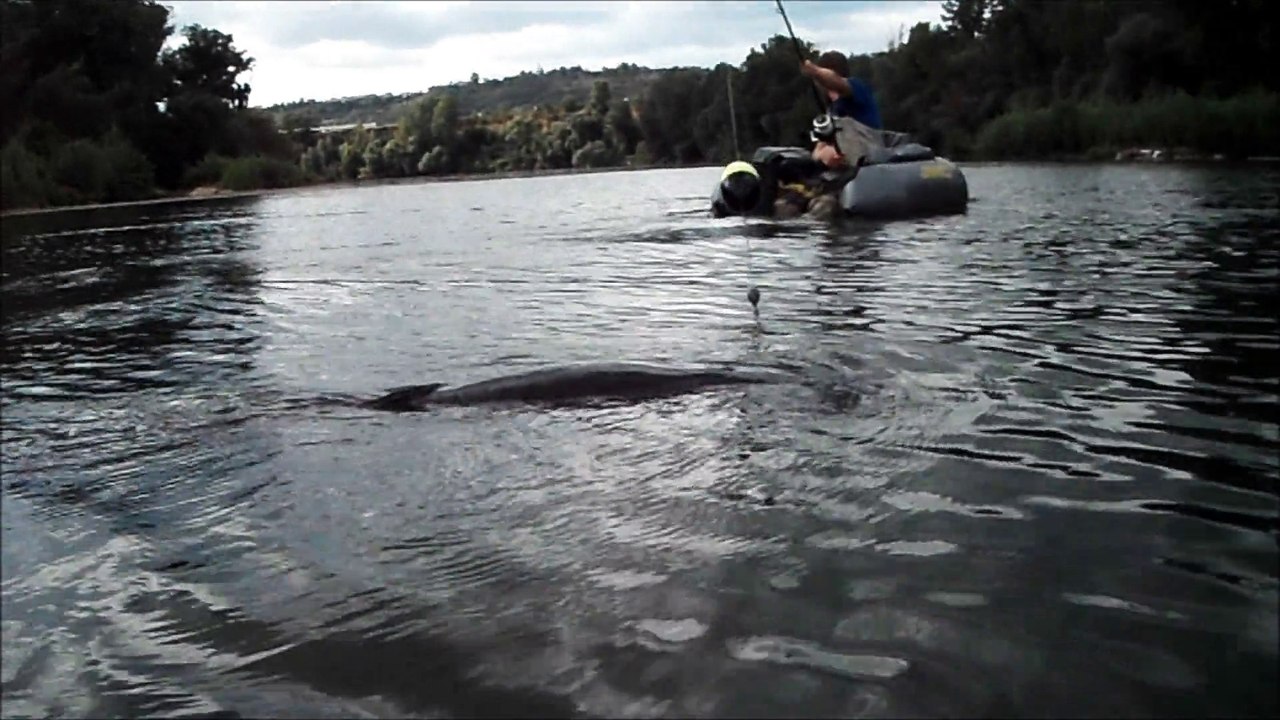 Sejours de pêche en midi pyrénées