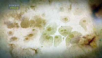 용산오피체험 코너를 금천오피체험 직장인들의 https://twitter.com/bamwar199 오금오피체험