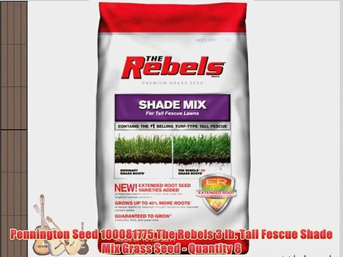 Pennington Seed 100081775 The Rebels 3 lb. Tall Fescue Shade Mix Grass Seed - Quantity 8