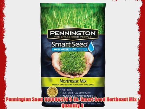Pennington Seed 100086579 3-Lb. Smart Seed Northeast Mix - Quantity 8