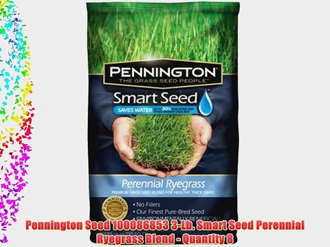 Pennington Seed 100086853 3-Lb. Smart Seed Perennial Ryegrass Blend - Quantity 8
