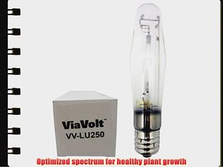 ViaVoltTM 250 Watt Enhanced HPS Bulb 28000 L 12 Pack